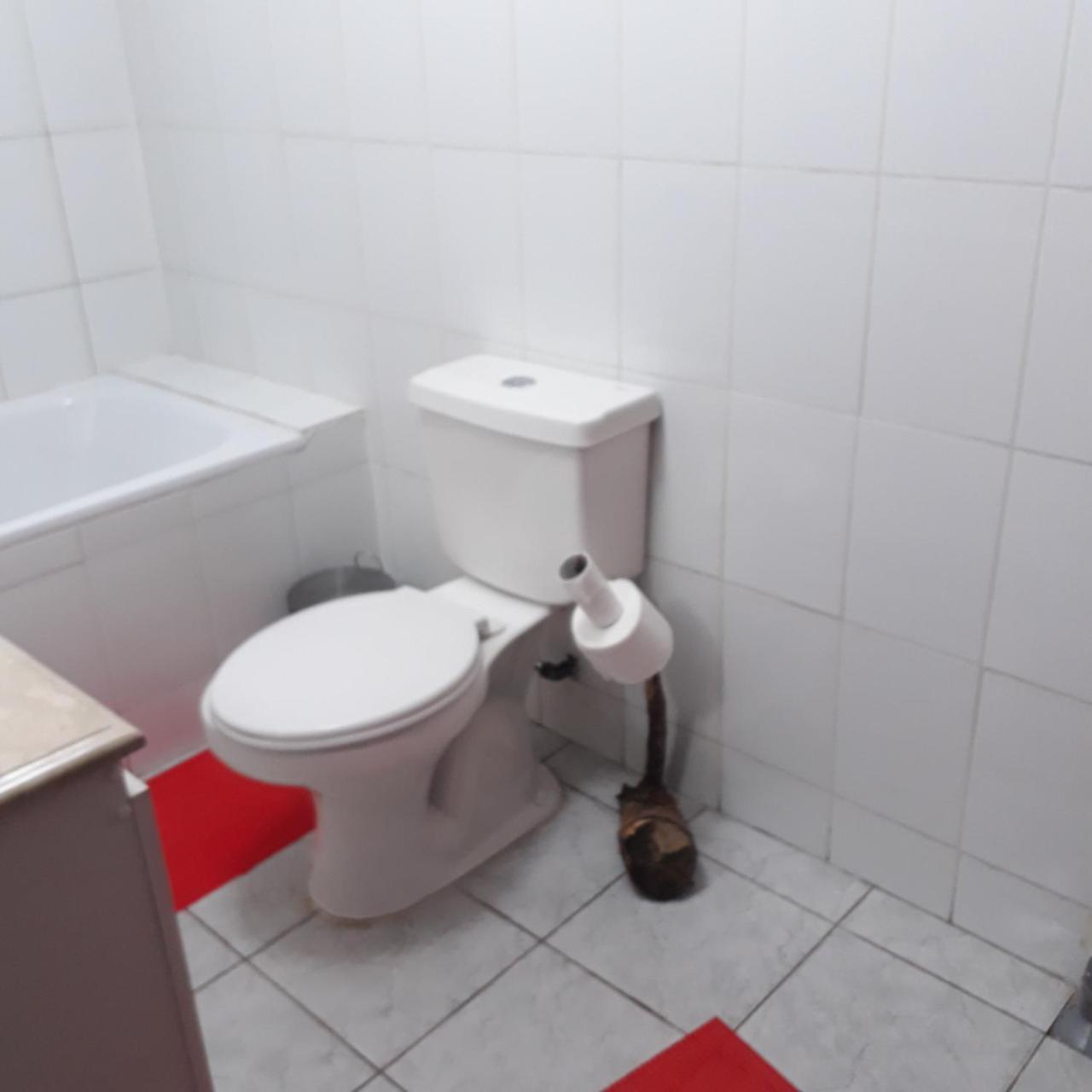 La Llar Hostel Panguipulli Eksteriør billede
