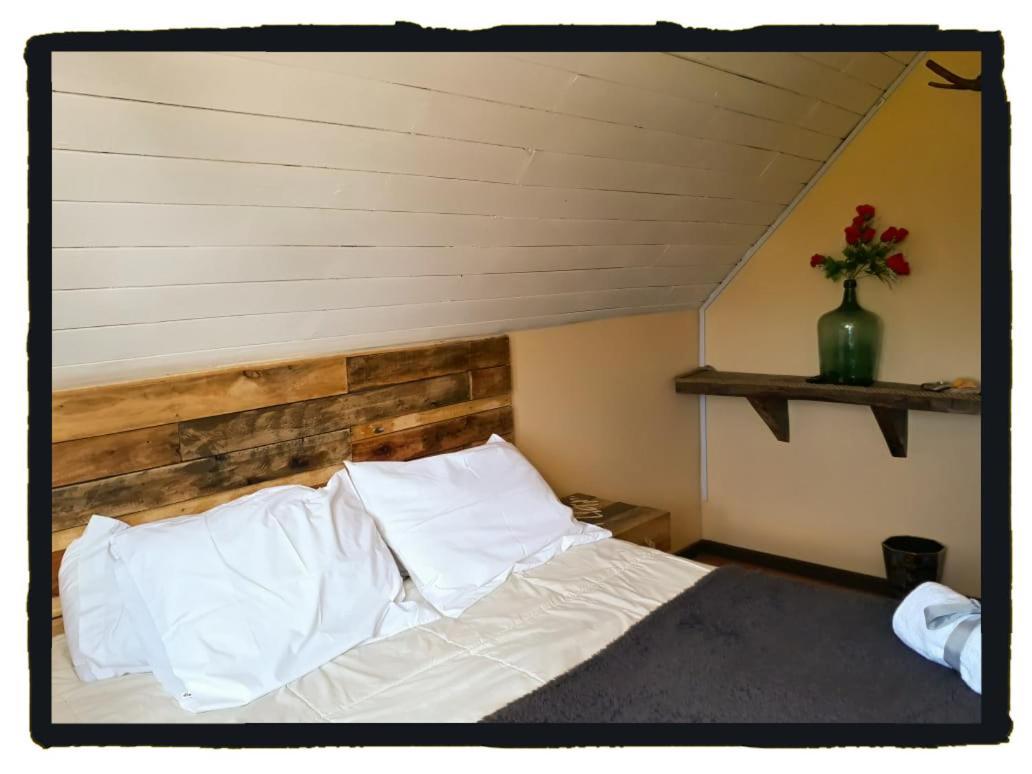 La Llar Hostel Panguipulli Eksteriør billede
